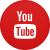 Descargar video